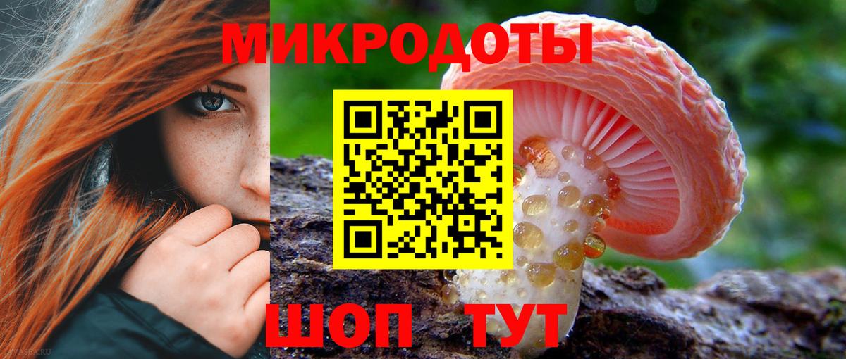 Галлюциногенные грибы MAGIC MUSHROOMS  Вход с VPN  Бийск  Галлюциногенные грибы MAGIC MUSHROOMS 