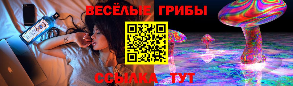 Псилоцибиновые грибы мицелий Бийск